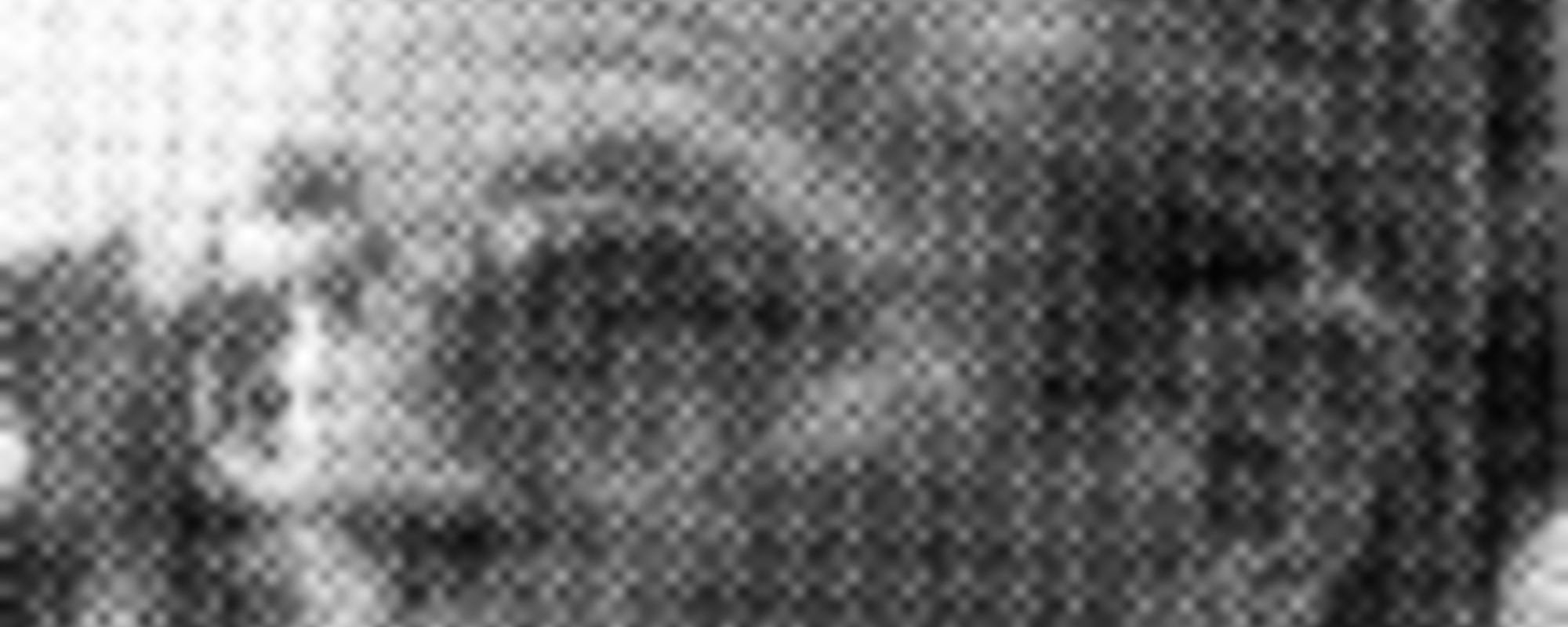 NLV-Geschäftsführer in 75 Jahren