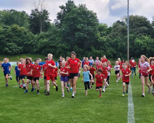 KiLa-Cup: Mannschaften des SVF qualifizieren sich fürs Landesfinale