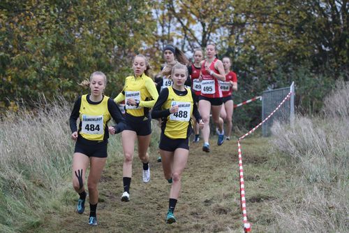 Nachbericht zur LM Cross in Rosche