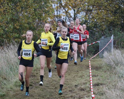 Nachbericht zur LM Cross in Rosche