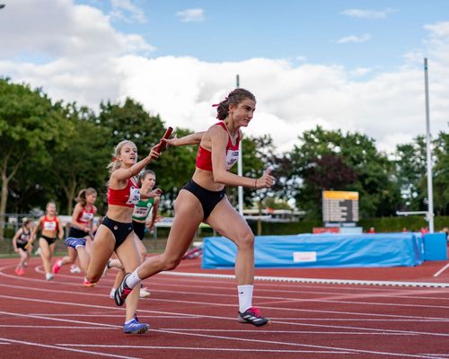 Team-LM in Lingen: Hinweise und Änderungen