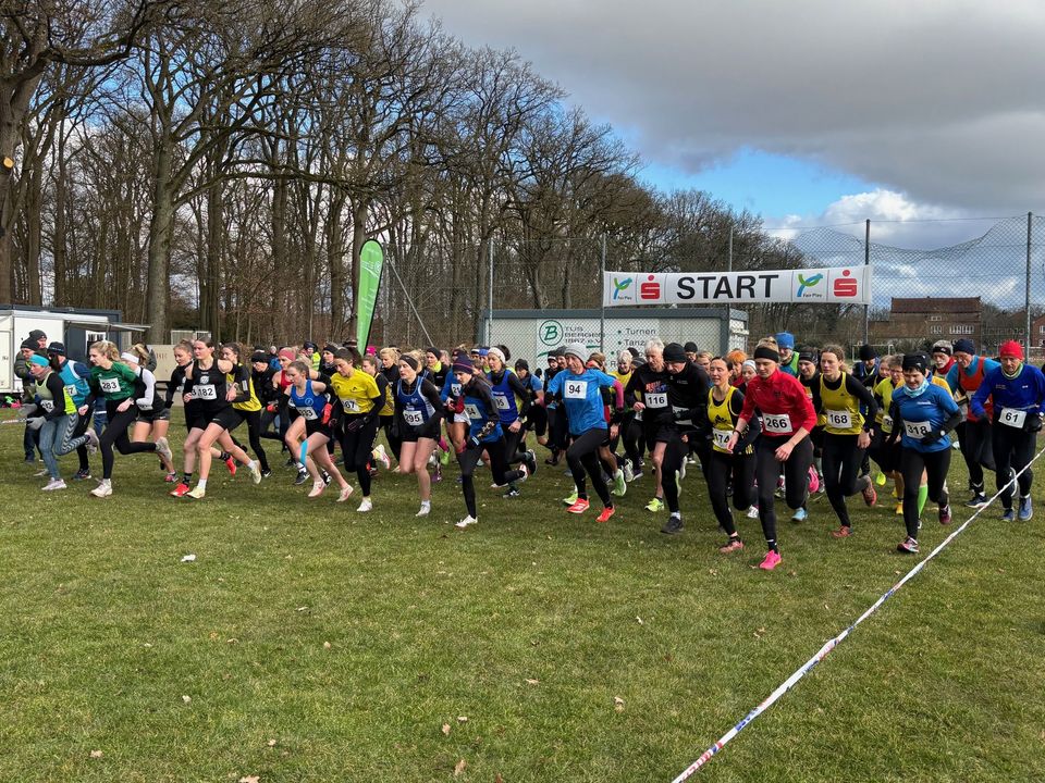 Foto: Karsten Optemhöfel