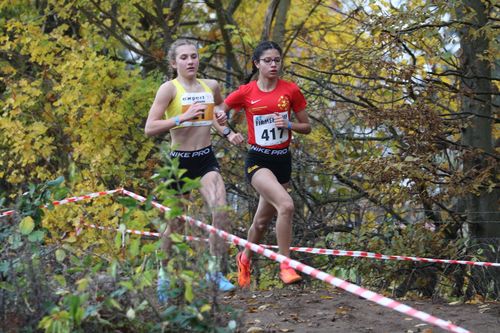 Nachbericht zur LM Cross in Rosche