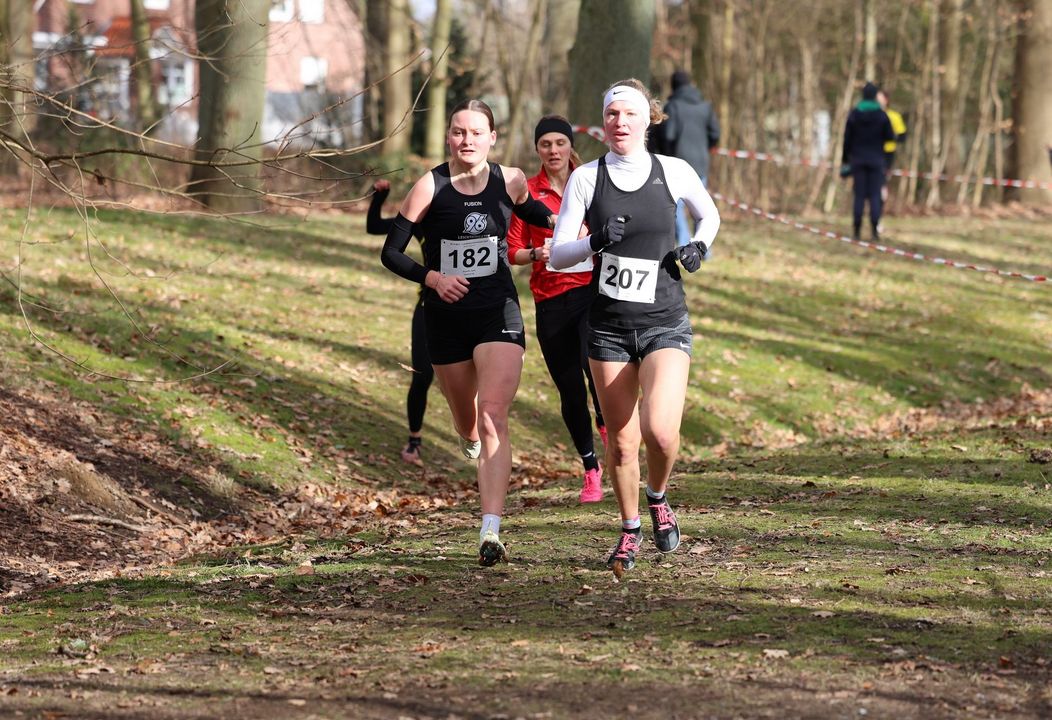 Foto: Birte Grote