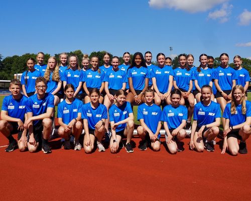 Einladung zu den NLV-SommerCamp-Thementagen 2025